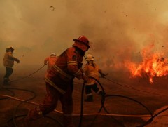 CNN: Австралийн ойн түймэр унтрах шинжгүй байна