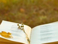 Сэтгэлээс дуслах он цаг 