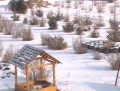 С.Дашдаваагийн гэр бүл өнгөрсөн 40 жилийн хугацаанд 12 мянган га талбайд ойжуулалт хийжээ