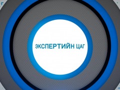 Экспертийн цаг: Монголын вирус судлалын нийгэмлэгийн дэд тэргүүн Ж.Оюунбилэг