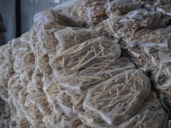 Хунчрыг ашиглаж дэлхийд ховор эмийн бүтээгдэхүүн үйлдвэрлэх боломжтой 