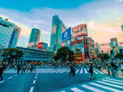 Санал хураалтад оролцсон японы иргэдийн ихэнх нь цаазын ялыг хэвээр үлдээхийг дэмжжээ