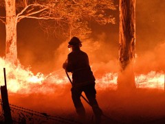 Австралид түймрийн уршгаар амь насаа алдсан хүний тоо нэмэгдэж 25-д хүрээд байна