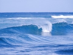 Далай, тэнгисийн аялгуу 