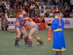 Урвуулагч хэмээх шороон гахай жилийн сар шинийн бөхийн барилдаан /2019 он/