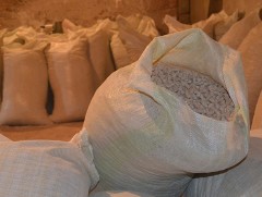 Засгийн газар өвсний нөөцийг багасгаж, тэжээл ахиу бэлтгэх төлөвлөгөө гаргажээ