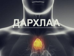 Хөндөх сэдэв: “Дархлаа”