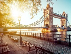 ИХ БРИТАНИ: Өндөр мэргэжлийн, чадварлаг ажилчдад л виз олгоно