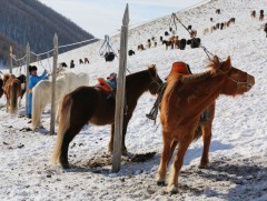 Тэр жилийн цагаан сар аавыгаа хүлээсэн сэтгэл байсан 