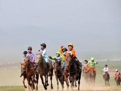 Энэ жил хаврын бүсийн нэг, зуны бүсийн дөрвөн уралдаан болох уу  