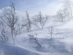 Гуравдугаар сард цаг агаар тогтворгүй, хүйтэн байх төлөвтэй байна