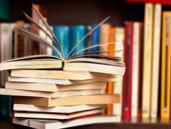 “Лида Салийн толь” өгүүллэг