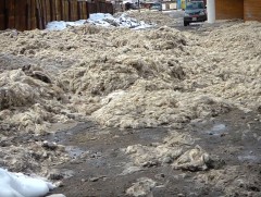 61 цэвэрлэх байгууламж бохир усаа шууд хөрсөнд шингээж байна 