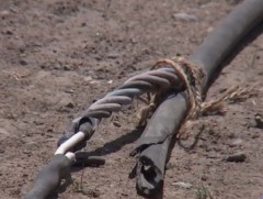 Айл өрхүүдийн цахилгаан дамжуулах утас шаардлага хангахгүй байна