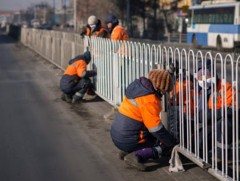 Хийж байгаа ажилдаа чин сэтгэлээсээ хандах нь хамгийн чухал 