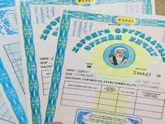 Өмч хувьчлалд 