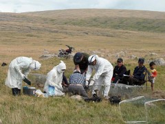 Ан амьтны эд эрхтэнг түүхийгээр залгихгүй байхыг анхааруулав 