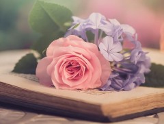 Үзэг түшсэн бүсгүй найрагчид