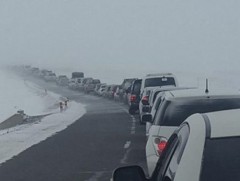 Төв, Сэлэнгэ, Архангай аймгаас ирэх иргэдийн урсгал их байх төлөвтэй байна