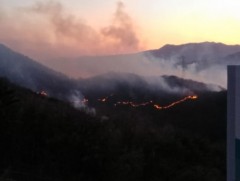 БНСУ-н Улсан хотод ой хээрийн түймэр гарлаа