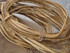 Ж.Жамсранжав: Залуучуудад сур элдэх арга туршлага өвлүүлнэ 