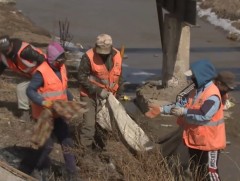 Хотын их цэвэрлэгээнд иргэдийн бүлгүүд оролцож байна