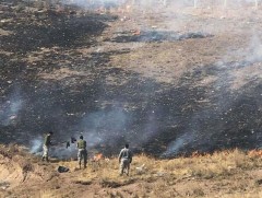 Иргэн та санаатай болон санамсаргүй байдлаар гал алдсан бол эрүүгийн хуулиар хариуцлага хүлээнэ