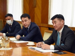 НҮБ-ын суурин зохицуулагчтай цаг үеийн асуудлаар уулзалт хийлээ