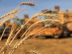 Газар тариалангийн салбарт 150 тэрбум төгрөгийн зээл олгоно