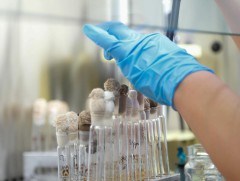 Улаанбаатар хот орчмын усыг шинжлэхэд 1 литр усанд 5.5 микрограмм ураны агууламжтай байна