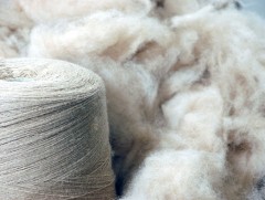 Самнасан ноолуур бүрийг 100 мянган төгрөгөөр худалдаж авах боломжгүй 