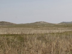 Ховд аймагт бэлчээрийн ургамлын ургац муу байна