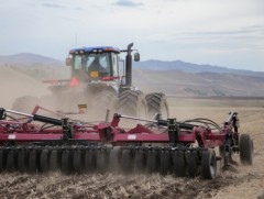 Энэ хавар 360.0 мянган га-д улаан буудай тариална