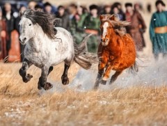 Адуу малын нутаг минь