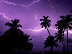 Угандачууд аянганаас огт айдаггүй...