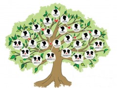 Угийн бичиг хөтөлдөг шилдэг 27 гэр бүлийг шалгаруулжээ 