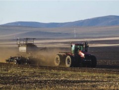 Улсын хэмжээнд хаврын тариалалт 40 хувьтай байна 