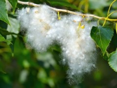 Улиас модны унгирлыг арилгахаар даралттай усаар шүршиж байна 