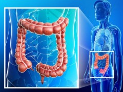 Эрүүл мэнд: Ходоод  гэдэсний  цэвэрлэгээ