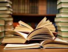 Амралтын номын сан