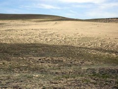 Монгол орны нийт бэлчээрийн 70 гаруй хувь нь доройтолд орсон байна