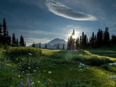 Үдшийн цагаан бүгээ