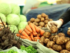 Шинэ ургацын ногооны үнэ өндөр байгааг иргэд шүүмжилж байна 