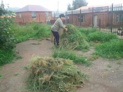 Халгай, лууль, шарилжийг эдийн засгийн эргэлтэд оруулах бүрэн боломжтой