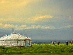 Монголын их амар амгалан