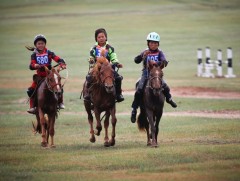 Төрийн наадамд гурван үеэрээ түрүүлсэн адуу 