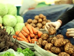 Төмс, хүнсний ногооны үнэ 84 хувь өссөн байна 