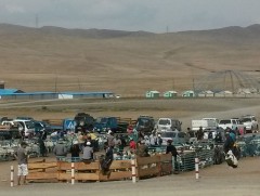 Малын гарал үүслийн бичиг хуурамчаар үйлдэх зөрчил буурчээ 