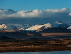 Эх орны минь уулс