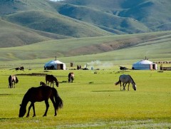 Үе дамжих үнэт өв 